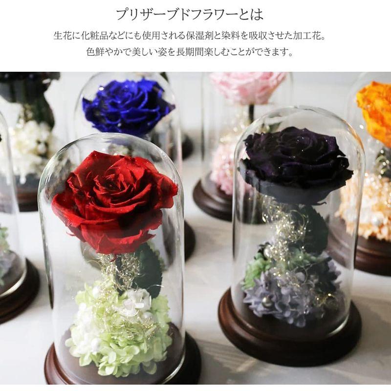 Makefuture プリンセスフルール プリザーブドフラワー ガラスドーム バラ 美女と野獣 プロポーズ ブライトレッド プリンセスフルール ブライトレッド プリザーブドフラワー ガラスドーム バラ 美女と野獣 プロポーズ サイズ