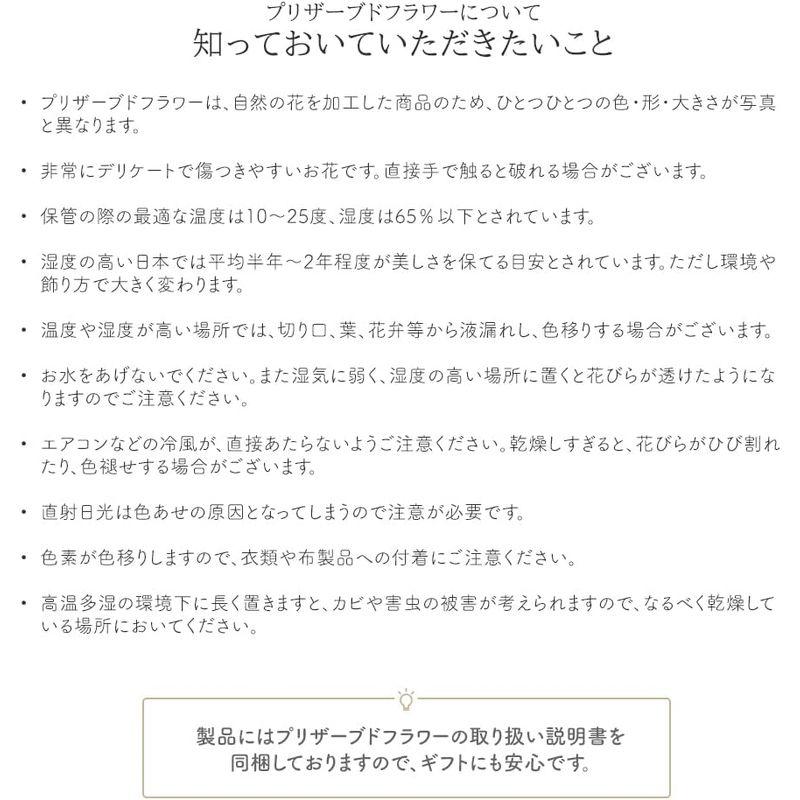 Makefuture プリンセスフルール プリザーブドフラワー ガラスドーム バラ 美女と野獣 プロポーズ ブライトレッド プリンセスフルール ブライトレッド プリザーブドフラワー ガラスドーム バラ 美女と野獣 プロポーズ サイズ