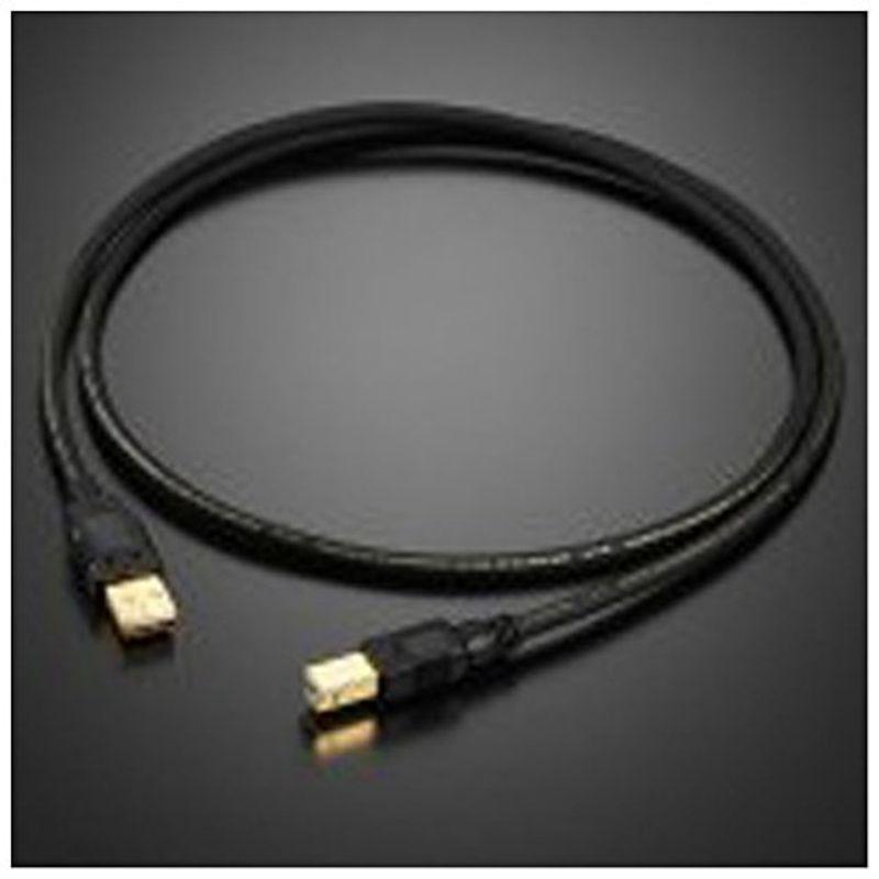 AET ハイエンドオーディオグレードUSBケーブルAタイプ⇔Bタイプ 2.0m