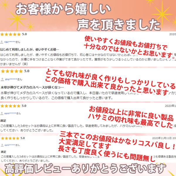 ピンセット ハサミ アクアリウム ハーバリウム 水槽 水草 トリミング レイアウト 手入れ 3点セット 3pins Alioli アリオリ 通販 Yahoo ショッピング