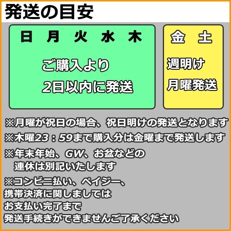 ウインドスクリーン キャンプ アウトドア 防風板 焚き火 台 風よけ 大型 10枚プレート 改良版｜alioli｜12