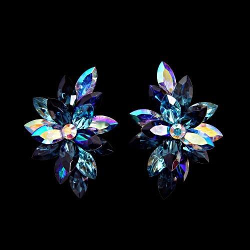 SWAROVSKI（スワロフスキー） 社交ダンスアクセサリー イヤリング 2031