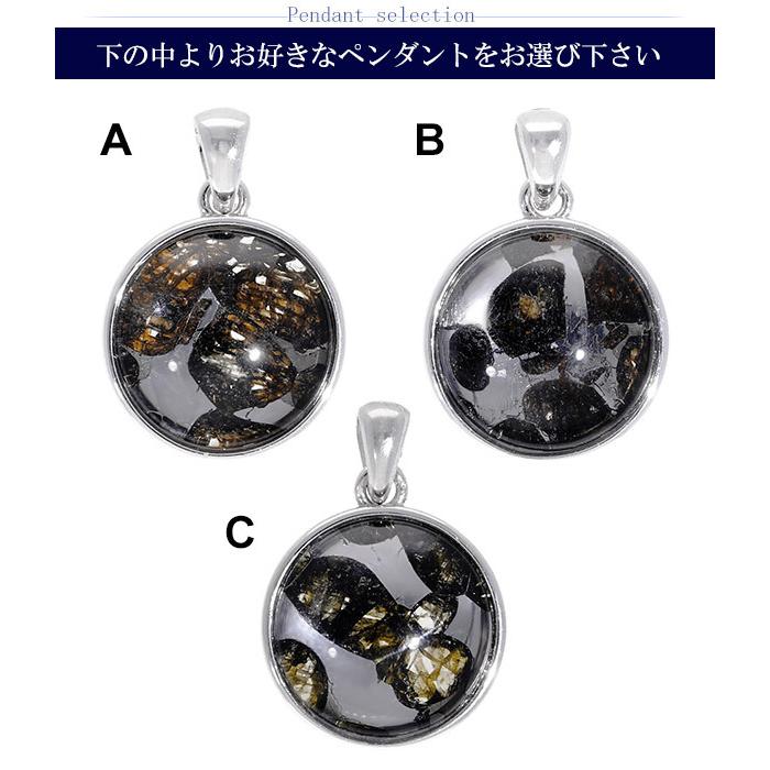 パラサイト 隕石 メテオライト シルバー ペンダントトップ 数量限定