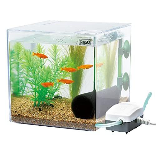 テトラ Tetra メダカのあんしんフィルターセット アクアリウム 熱帯魚 メダカ 金魚 稚魚 X07q7s57tk All Box 通販 Yahoo ショッピング