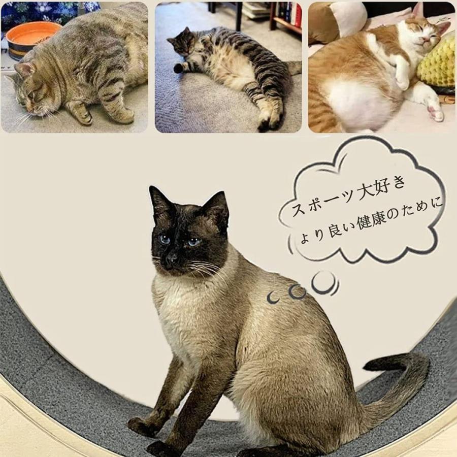 ランニングホイール 猫 キャッホイール キャット大型 無垢材 猫ランニングマシン 環境保護 直径91cm 耐荷重80kg 猫の回し車 観覧車 猫研削爪 おもちゃ 猫ちゃん ランニングホイール キャッホイール キャット大型 無垢材 猫ランニングマシン 環境保護 直径91cm 耐荷重80kg 猫の回し車 観覧車 猫研削爪 おもちゃ 猫ちゃん