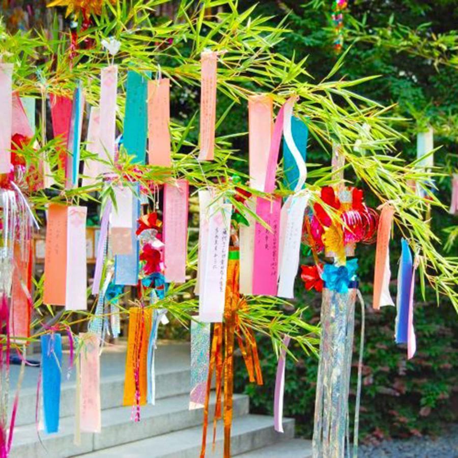七夕 笹 七夕飾りランキング たなばた笹立木 七夕飾り 七夕用特大笹 180m 笹の造花 笹ディスプレイ デコレーション ディスプレイ 笹フェイクグリーン 笹の葉 七 七夕 七夕飾りランキング たなばた笹立木 七夕飾り 七夕用特大笹 180m 笹の造花 笹ディスプレイ デコレーション ディスプレイ 笹フェイクグリーン 笹の葉
