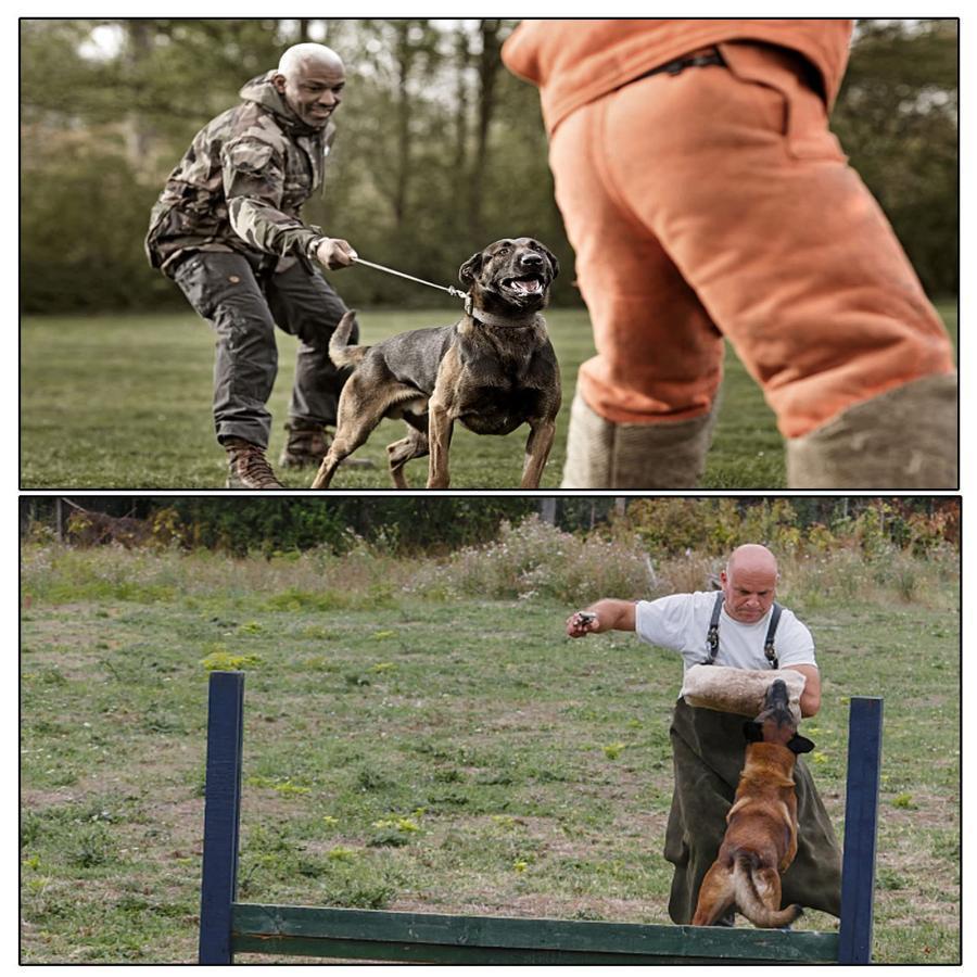 犬の訓練服 防護服 犬の訓練士用スーツ 屋外の犬の訓練抗咬傷服 ドッグトレーニング用 厚みのあるアンチバイトジャンプスーツ ?む防止(Size:M) トレーナーの安全を効果的に保護します