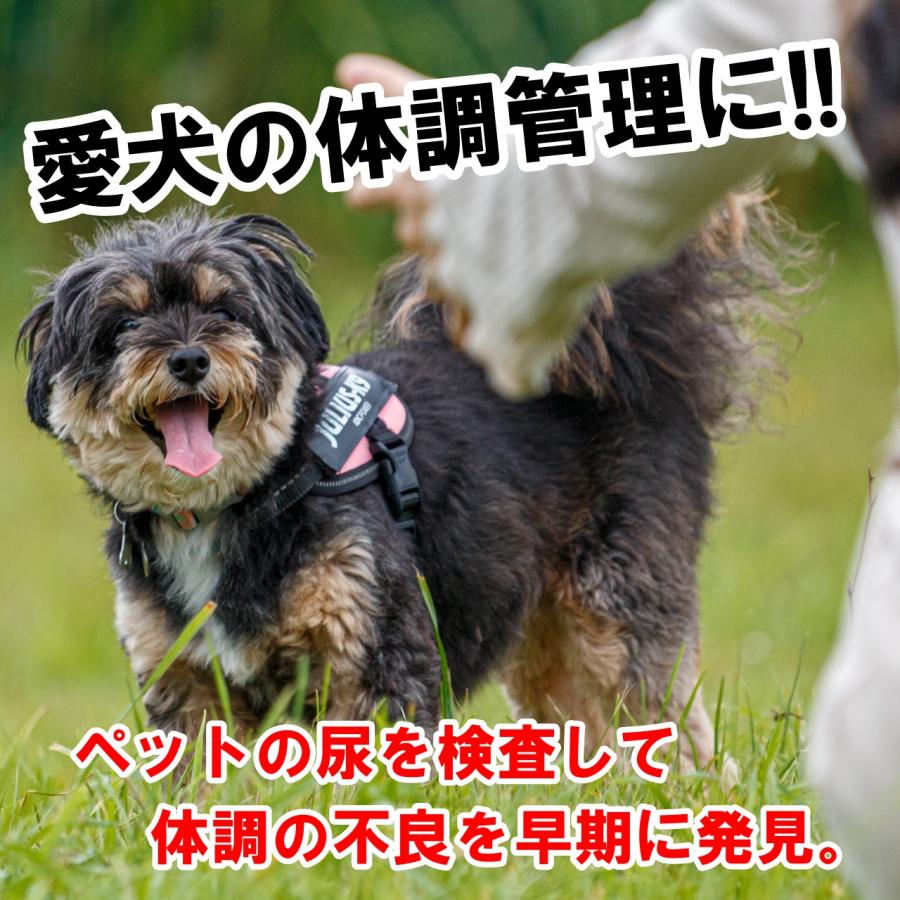 PH試験紙 ロールタイプ 5M pH1-14 pHテスト ロール テスト紙 ストリップ 水質 リトマス試験紙 熱帯魚 アクアリウム ペット 学校 教材 研究 夏休み 理科 |  | 03