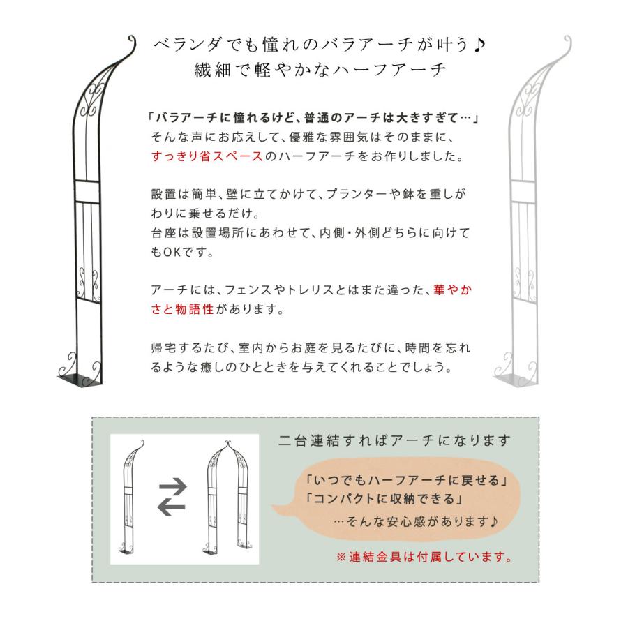 アイアンハーフアーチ（ダブル） バラ 薔薇 おしゃれ_1