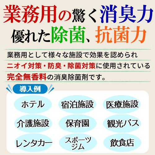 人気絶頂 消臭スプレー 消臭剤 強力 におい消し 業務用 無香料 部屋 車 タバコ 介護 尿臭 おむつ 靴 衣類 加齢臭 体臭 トイレ 無臭 携帯用 0ml Aynaelda Com