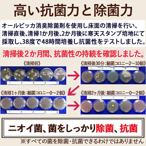 人気絶頂 消臭スプレー 消臭剤 強力 におい消し 業務用 無香料 部屋 車 タバコ 介護 尿臭 おむつ 靴 衣類 加齢臭 体臭 トイレ 無臭 携帯用 0ml Aynaelda Com