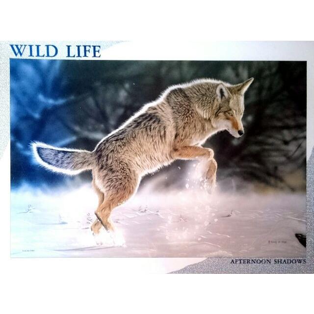 やのまん　ジグソーパズル　1000ピース　　　WILD LIFE ワイルドライフ　　アフタヌーン・シャドウズ　　　　　　オオカミ　ウルフ