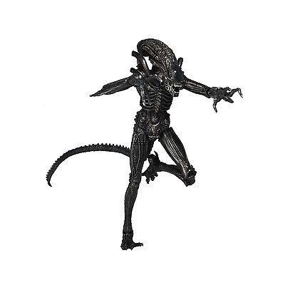 Neca ネカ エイリアン Xenomorph ゼノモーフ ウォーリア ブラックver Virgiliogomez Com