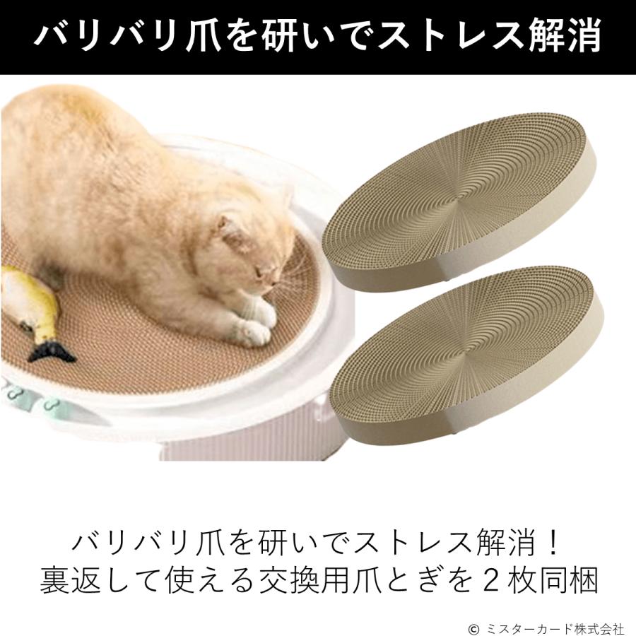 猫 ネコ 爪とぎ ボール おもちゃ インテリア 運動不足 ストレス ペット用品 ボールサークル爪とぎ CT-CSB540 CT-CSB545 | miraiON | 06