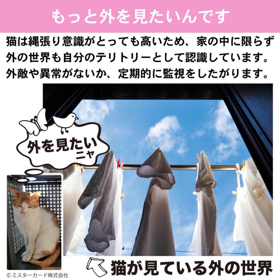 猫 キャットステップ 爪とぎ ステップ S ベット キャットタワー キャットウォーク おしゃれ 強力 吸盤 窓 壁 壁付け 壁掛け 猫用 JOYCAT MR-PETCT-08 | JoyCat | 02