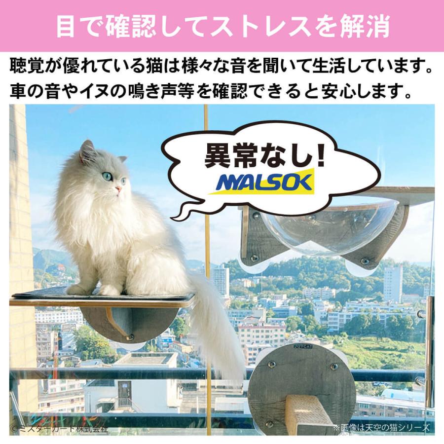 猫 キャットステップ 爪とぎ ステップ S ベット キャットタワー キャットウォーク おしゃれ 強力 吸盤 窓 壁 壁付け 壁掛け 猫用 JOYCAT MR-PETCT-08 | JoyCat | 03