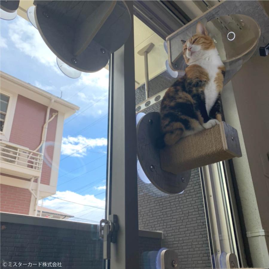 猫 キャットステップ 爪とぎ ステップ S ベット キャットタワー キャットウォーク おしゃれ 強力 吸盤 窓 壁 壁付け 壁掛け 猫用 JOYCAT MR-PETCT-08 | JoyCat | 08