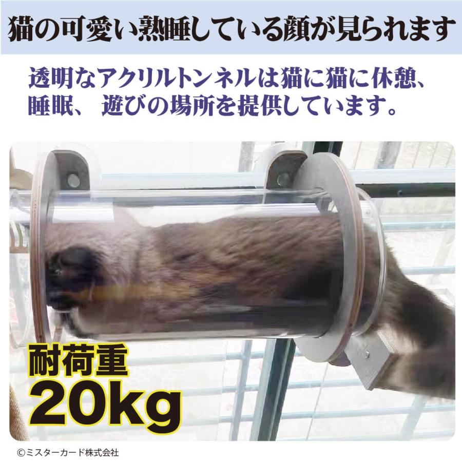 【猫追加２点セット】 Amazon.co.jp: Naviconvex キャットホイール 猫の車輪 XL 直径