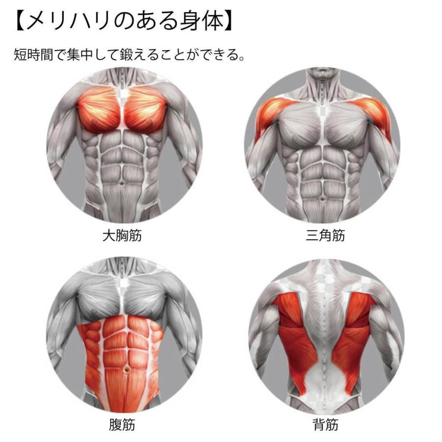 バックアシスト 腹筋 ローラー 膝マット付き 運動アシスト機能 静音 ダイエット シェイプアップ トレーニング 運動不足 テレワーク MR-SAH04 |  | 04