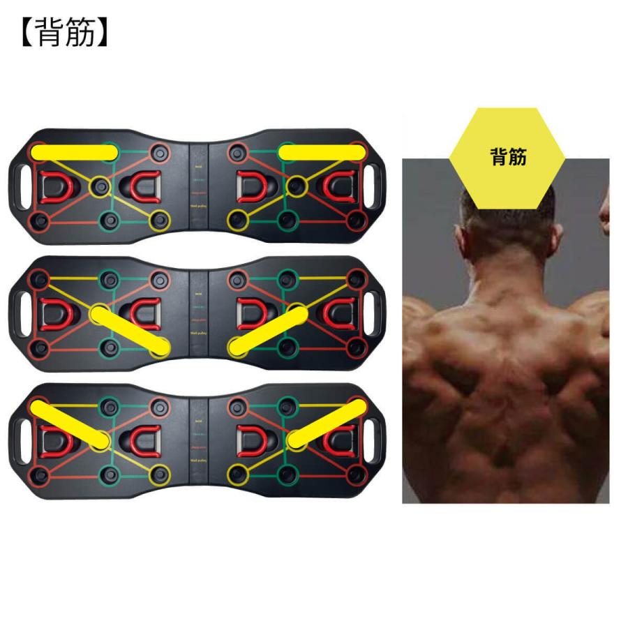 トレーニング ボード システム トレーニングチューブ・グローブ付き