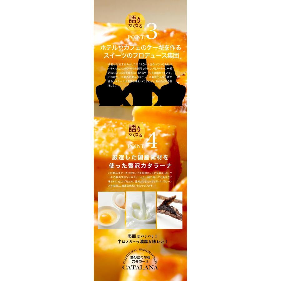 訳あり カタラーナ　500g　　冷凍スイーツ　カスタード　スイーツ　洋菓子　ケーキ |  | 06