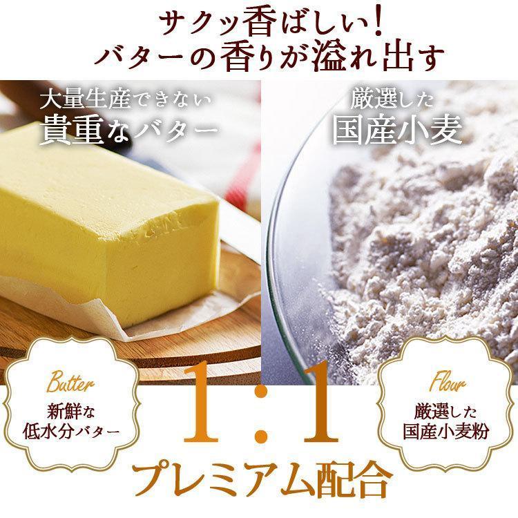 訳ありプレミアム割れクッキー 8種(2枚×24袋入)　バターたっぷりでサクサクっと香ばしい！　低水分バター/個包装/わけあり/ |  | 04
