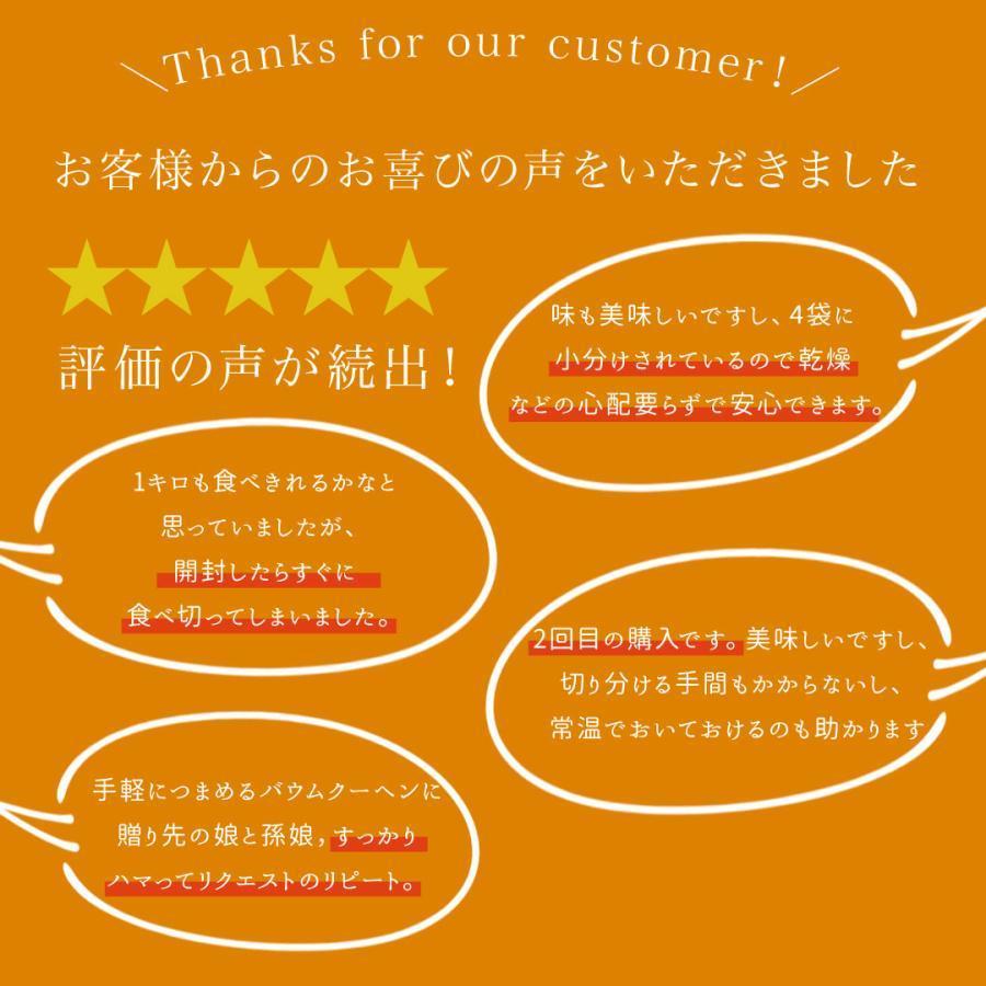 ふぞろいのコロコロばうむ 1kg　送料無料　訳あり バームクーヘン 大ボリューム 山盛り お徳用 ふぞろい 業務用　ハチミツ |  | 10