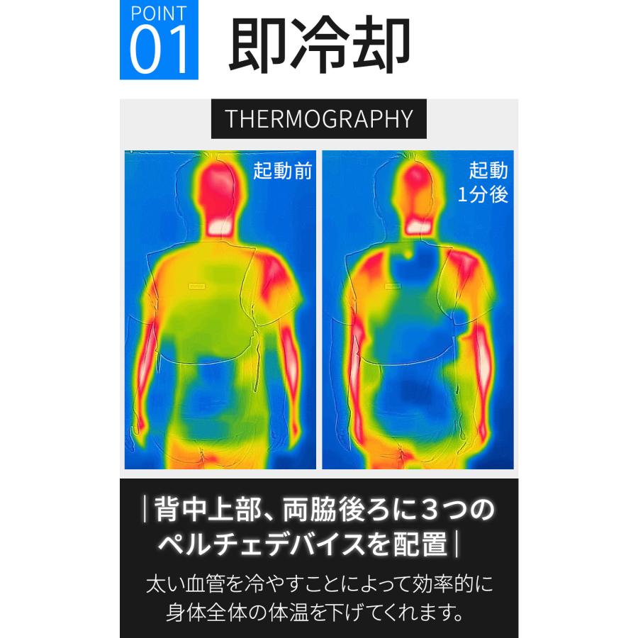 フローズンベスト L/XLサイズ ペルチェベスト ペルチェ素子 使用 フィッシングベスト バッテリー別売 めちゃクール 暑さ対策 | ブランド登録なし | 04