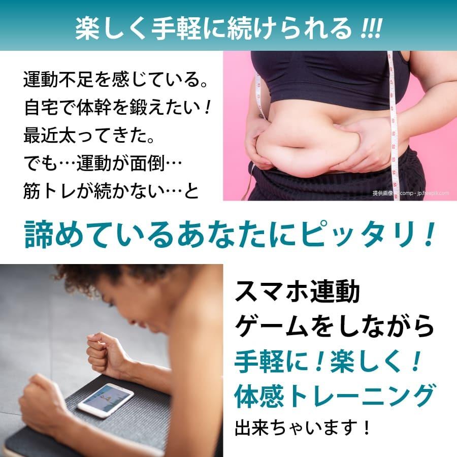 ランキングTOP10 体幹トレーニング 器具 バランスボード木製 自宅で