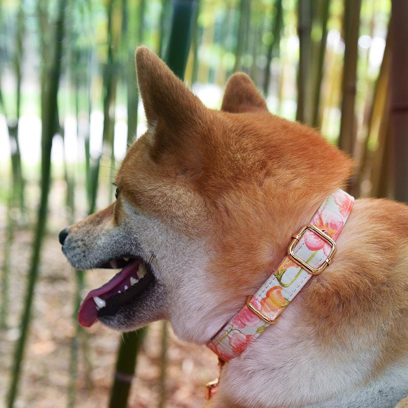 期間限定 犬 首輪 セット リード付きおしゃれ かわいい 軽い 柄豊富 8種類 小型犬 中型犬 痛くない ソフト 100棉 コットン素材 犬首輪 犬の 首輪 Pet Collar Allen Crystal 通販 Yahoo ショッピング