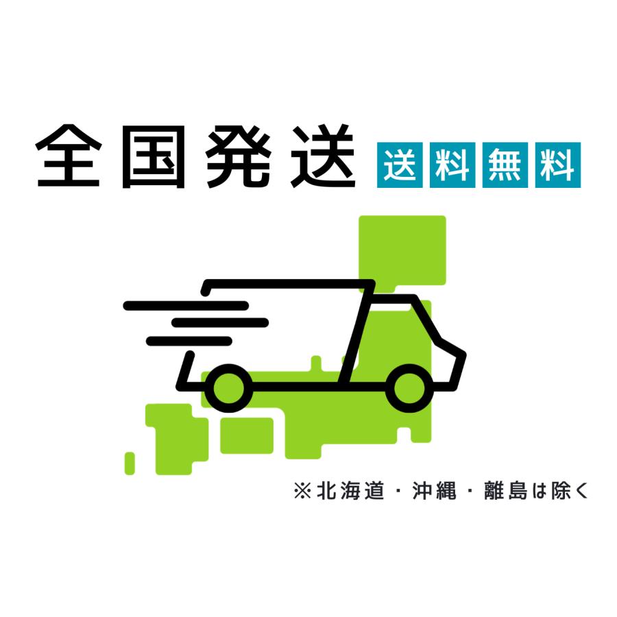 最短即時発送】 電動自転車 折りたたみ 20インチ ライト 変速 シマノ