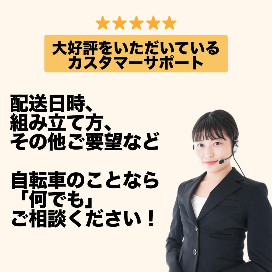 【倉庫受け取り商品】自転車 シティサイクル ノーパンク ガクチャリ パンクレス パンクしない 空気入れ不要 通勤 通学 27インチ ブラック ホワイト