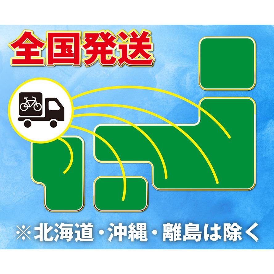 電動自転車 バッテリー 12.0Ah 単体 単品 新品 スペアバッテリー 電動