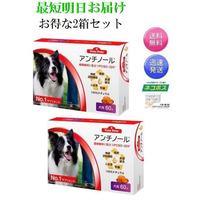 アンチノール 犬用 60粒×2箱 健康 関節 腎臓 心血管 認知症 サプリメント｜allgenre