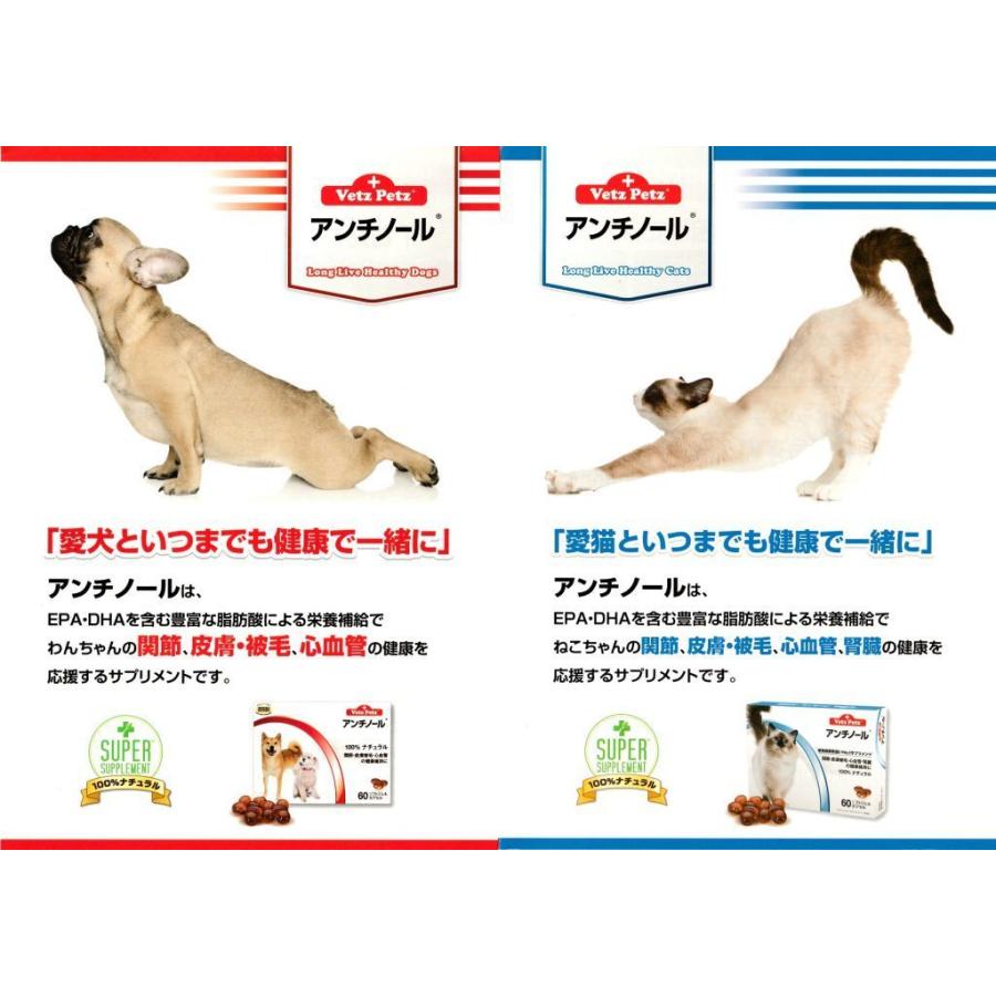 お買得 アンチノール 犬用 60粒 2箱 健康 関節 腎臓 心血管 認知症 サプリメント Aynaelda Com