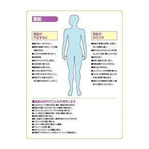 箱無し バランスターWZ 480錠 日本クリニック ダイエット、健康 その他ダイエット、健康 G1945418859(17238円)