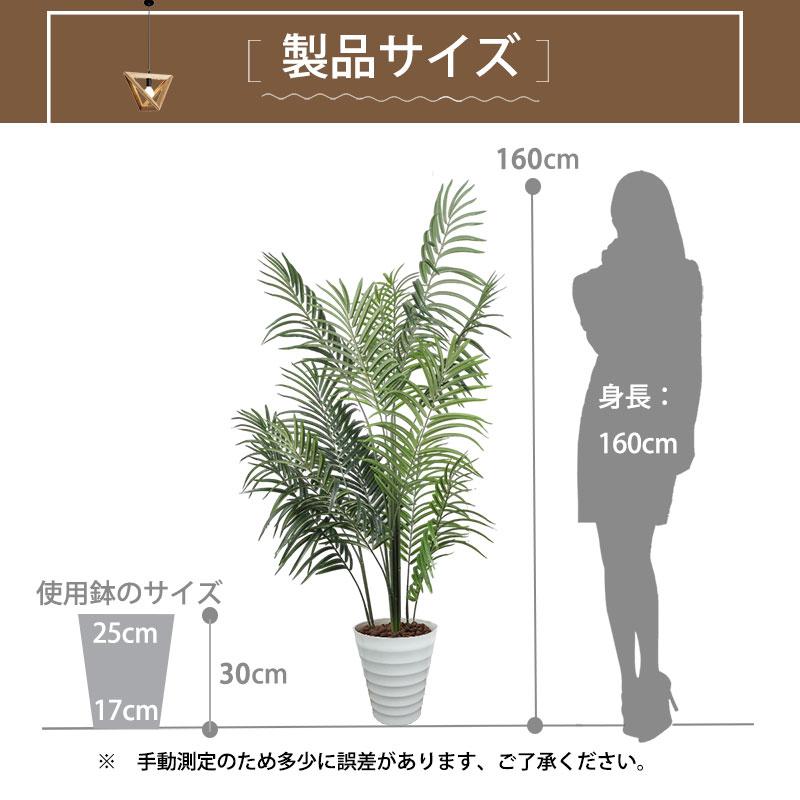 RAKU フェイクグリーン 観葉植物 アレカヤシ 高さ160cm インテリア