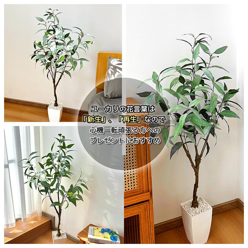RAKU フェイクグリーン 人工観葉植物 140 cm ユーカリリ Amazon｜RAKU フェイクグリーン 人工観葉植物 140 cm ユーカリ