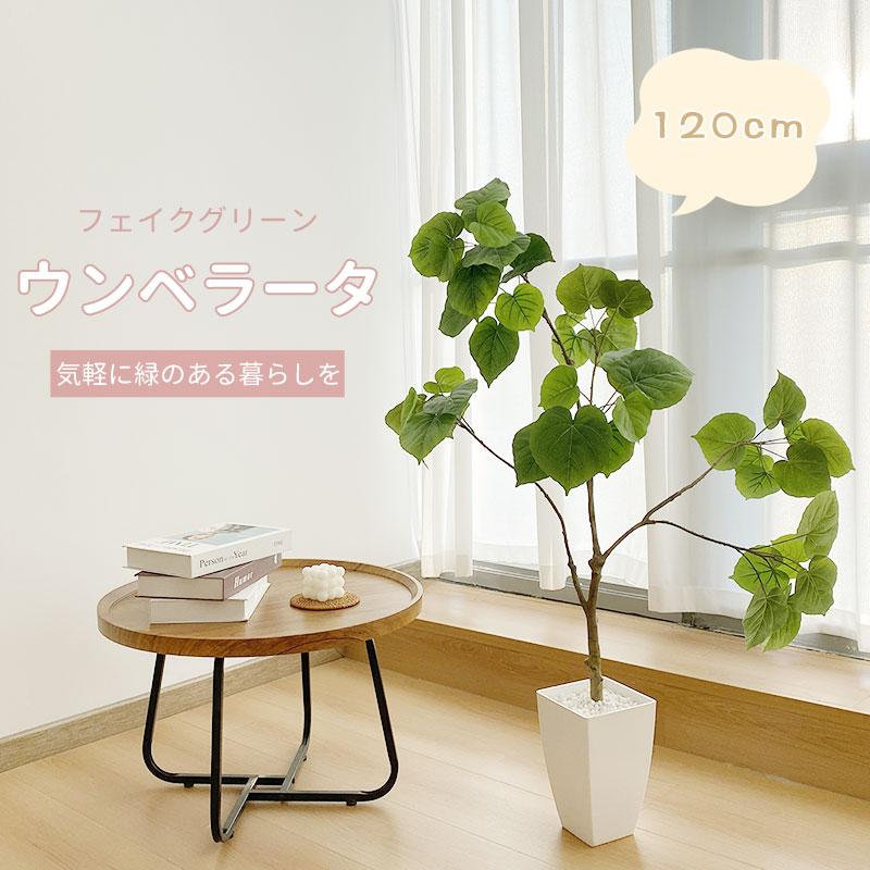 美品】ニトリ / フェイクグリーン(ウンベラータ) - 植物/観葉植物