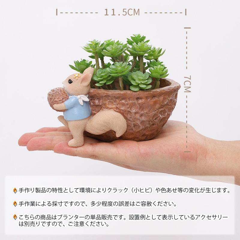 オリジナルデザイン リスシリーズ ミニプランター 植木鉢 多肉植物鉢