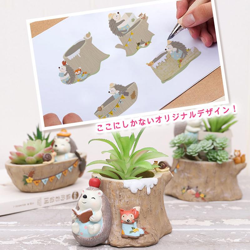 超お買い得 盆栽鉢 小盆栽 果肉植物鉢 Espaciomalvon Com Ar