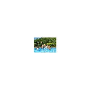 【並行輸入品】プールマスターオールプロ ウォーターバスケットボールゲーム OS Poolmaster All Pro Swimming Poolの画像