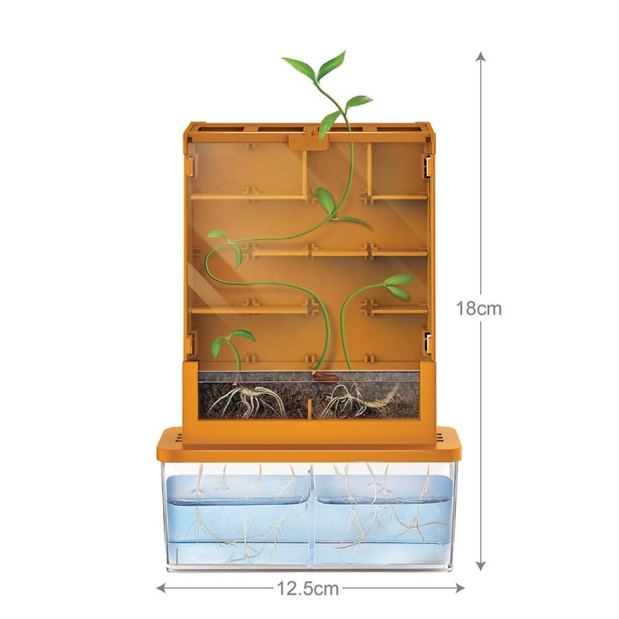 【並行輸入品】4M Green Science Grow A Maze Kit, Build A Plant Maze Science Kitの画像