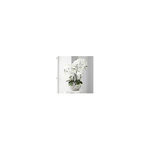 【並行輸入品】Dahlia Studios White Phalaenopsis 23" H Faux Orchid in Silver Cer_2