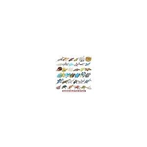 【並行輸入品】18 Pack Assorted Ocean Animal, Stretchy and Floating Rubber seaの画像