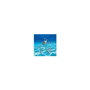 【並行輸入品】Alasida 8PCS Underwater Swimming Pool Toys Diving Rings Dive Thro_8