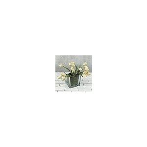 【並行輸入品】Richland スクエアガラスキューブ花瓶 6インチ 12個セット Richland Square Glass Cube Vasの画像