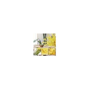 【並行輸入品】Bomarolan 人工 ダンシング レディ 蘭 シルク 造花 人工 蝶 蘭 10個 リアルタッチ ウェディング ホーム オフィス_8