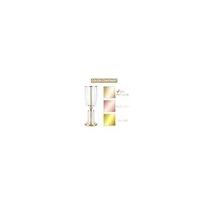 【並行輸入品】NUPTIO 10個 23.75インチ ゴールド花瓶 センターピース用 トールクリスタルメタル花瓶 フラワースタンドホルダー ウェ_8