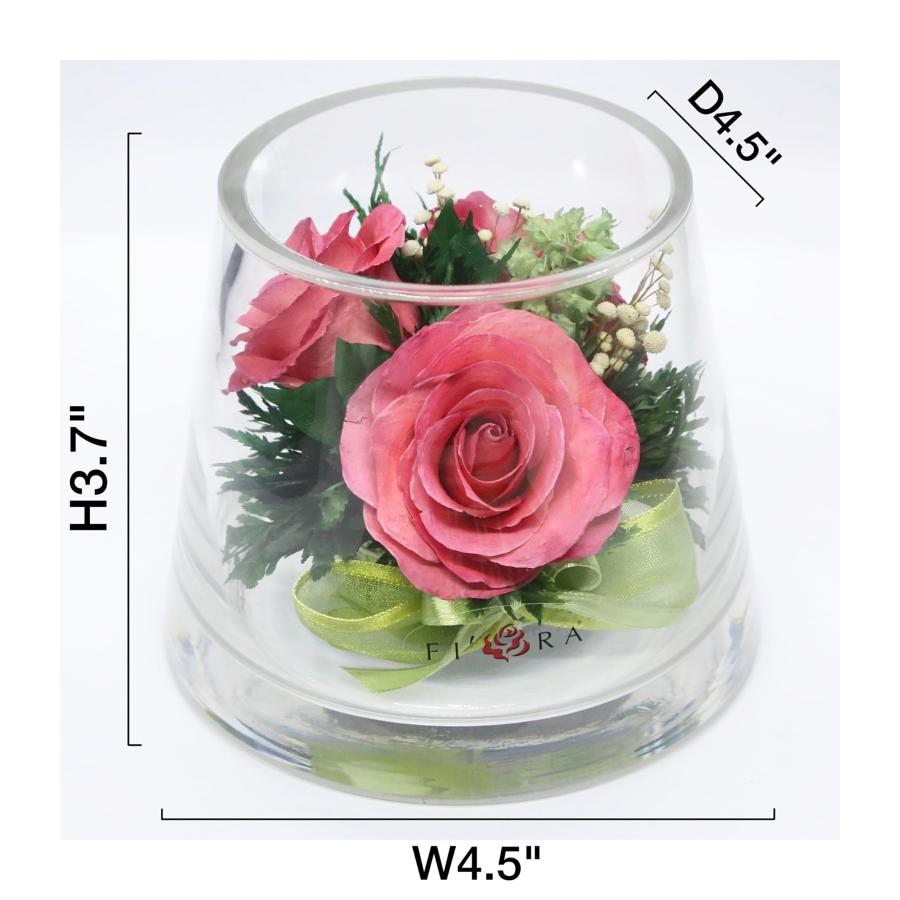 並行輸入品】Fiora Flower | 密封されたガラスの花瓶に入った長持ち